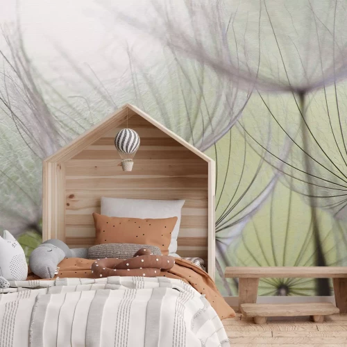 Fotobehang Close-up van paardenbloemzaden tegen een groene achtergrond