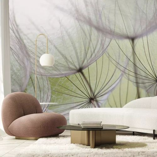 Fotobehang Close-up van paardenbloemzaden tegen een groene achtergrond