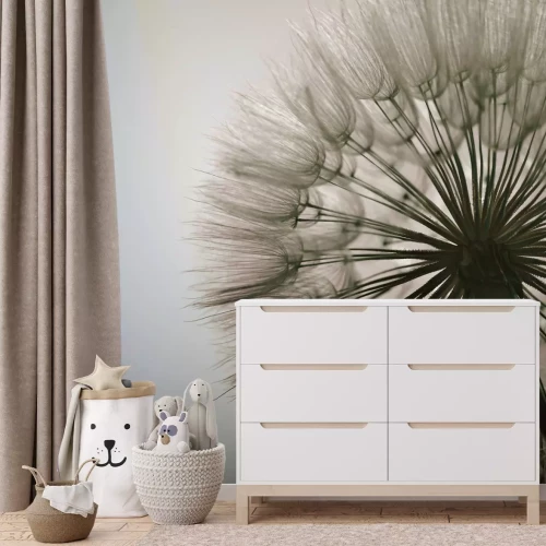 Fotobehang Close-up van een botanische foto van een paardenbloem