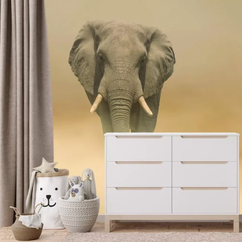 Fotobehang Een mysterieuze olifant die door de mistige woestijn stapt