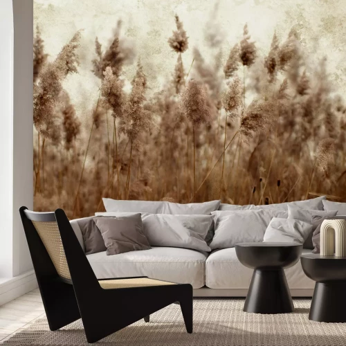 Fotobehang Rustiek patroon gemaakt van gedroogd gras