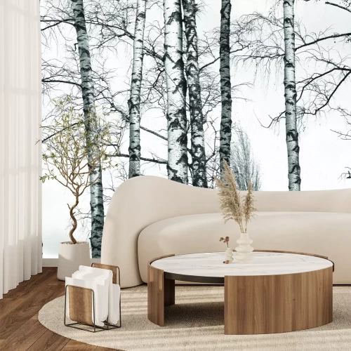 Fotobehang Monochromatisch berkenbos
