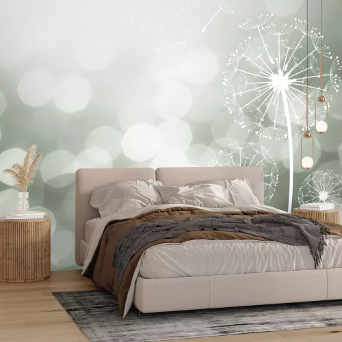 Fotobehang Subtiele paardenbloemen in zacht licht