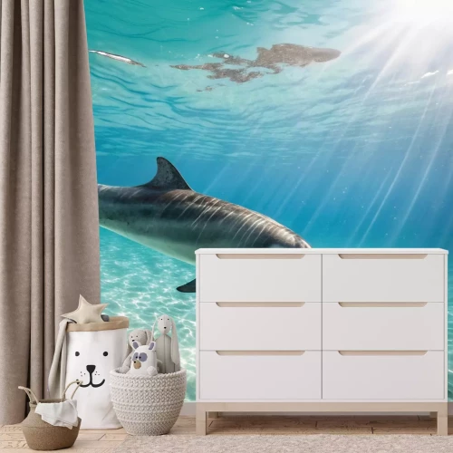 Fotobehang Een dolfijn zweeft boven de zeebodem