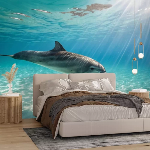 Fotobehang Een dolfijn zweeft boven de zeebodem