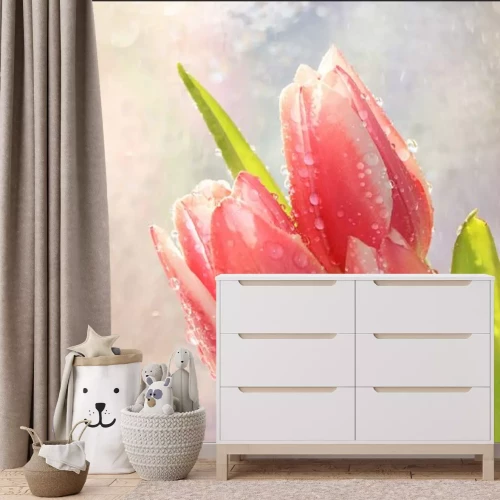 Fotobehang Frühlingstulpen