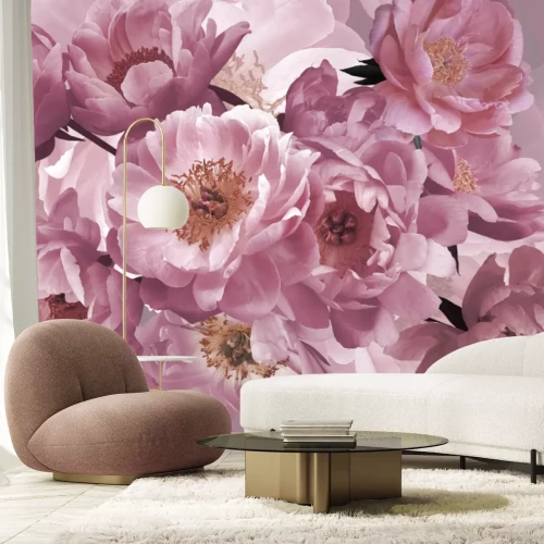 Fotobehang Roze pioenrozen van dichtbij