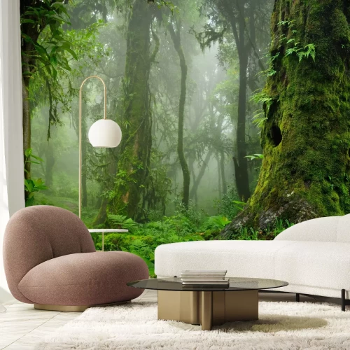 Fotobehang Groene bosbomen in de mist