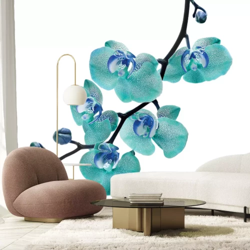 Fotobehang Een tak met een blauwe orchideebloem
