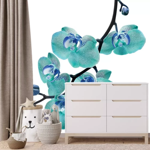 Fotobehang Een tak met een blauwe orchideebloem