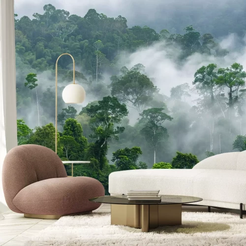 Fotobehang Ochtendmist in het regenwoud in Afrika