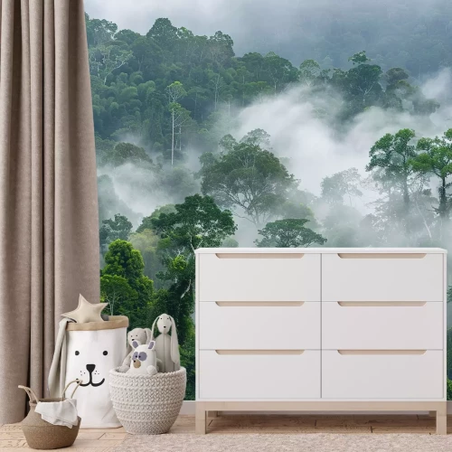 Fotobehang Ochtendmist in het regenwoud in Afrika