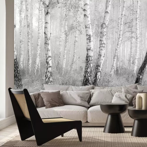 Fotobehang Zwart-wit landschap van een berkenbos