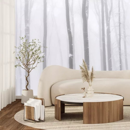 Fotobehang Winterberkenbos in de mist