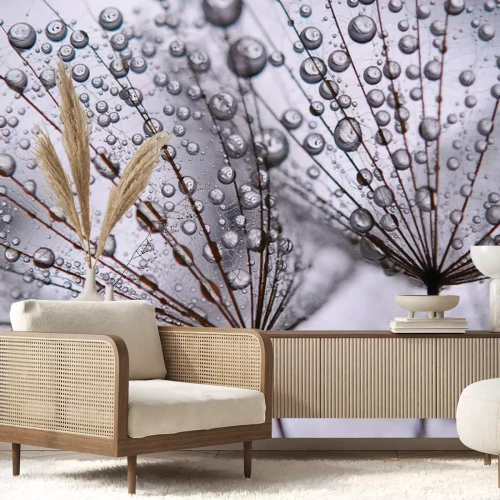 Fotobehang Paardenbloem close-up met dauwdruppels op de zaden