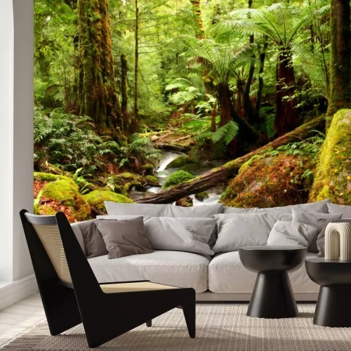 Fotobehang Een bosbeek tussen weelderige planten en bomen