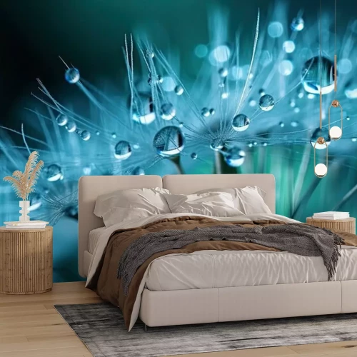 Fotobehang Paardenbloem met waterdruppels