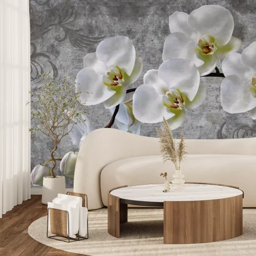 Fotobehang Witte orchidee op beton