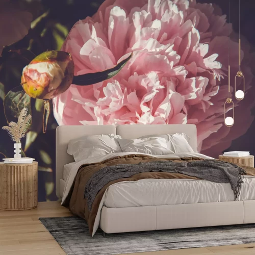 Fotobehang Prachtige roze pioenroos