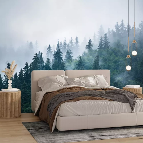 Fotobehang Donkergroen naaldbos in de mist