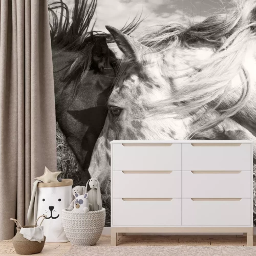 Fotobehang Twee paarden begroeten elkaar zwart-witfoto