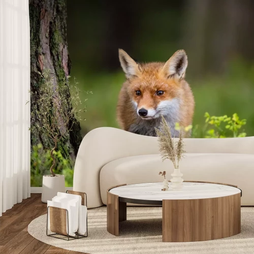 Fotobehang Een vos in de struiken