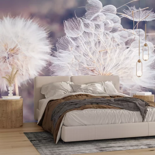 Fotobehang Paardenbloemen op een wazige achtergrond