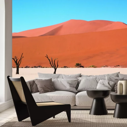 Fotobehang Kleine bomen in een uitgestrekt woestijngebied