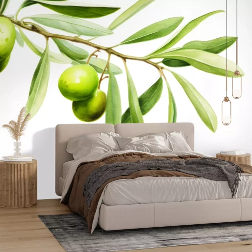 Fotobehang Een delicate olijftak met groene bladeren