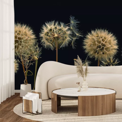 Fotobehang Close-up van de subtiele structuren van paardenbloemen