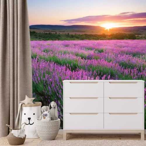 Fotobehang Lavendelweide