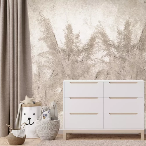 Fotobehang Pampasgras op een beige achtergrond