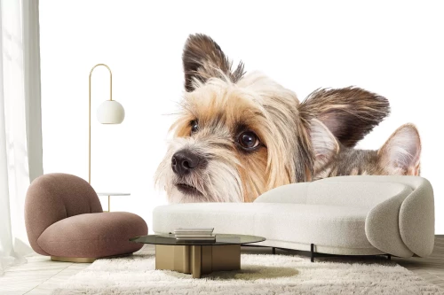 Visualisatie van het product