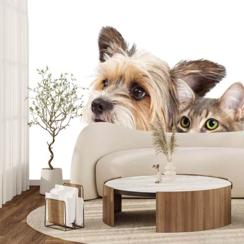 Fotobehang Portret van een hond en een kat op een lichte achtergrond