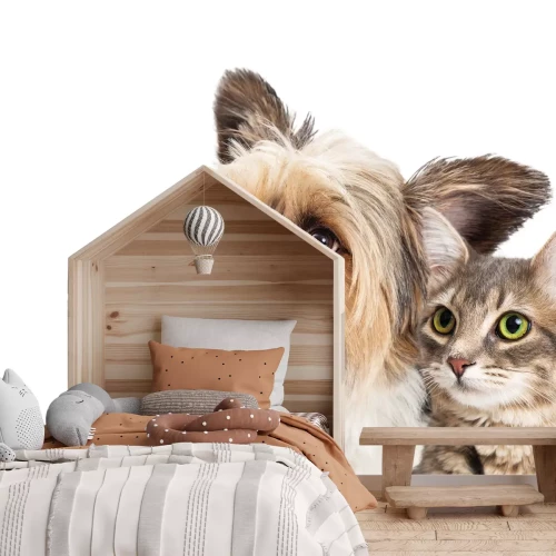 Fotobehang Portret van een hond en een kat op een lichte achtergrond