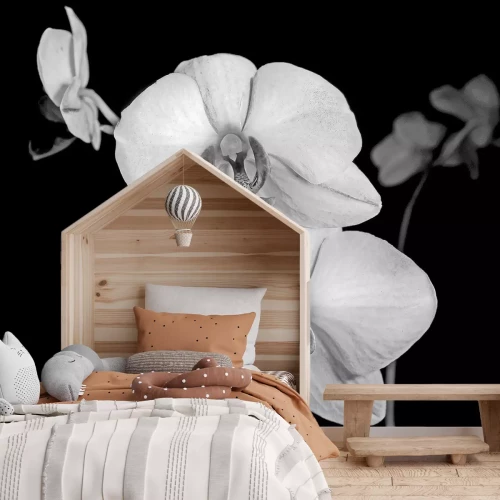 Fotobehang Witte orchidee op een zwarte achtergrond