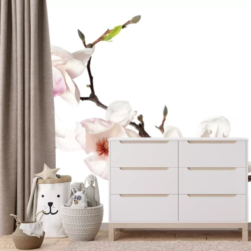 Fotobehang Orchideeënstengel met witte bloemen