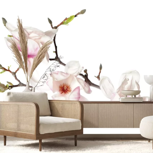 Fotobehang Orchideeënstengel met witte bloemen