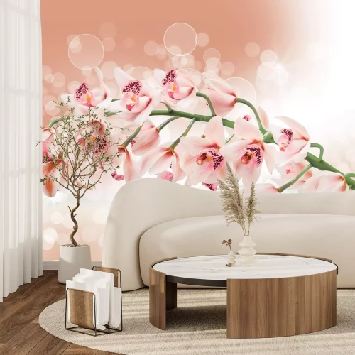 Fotobehang Een tak van een orchidee met luchtbellen