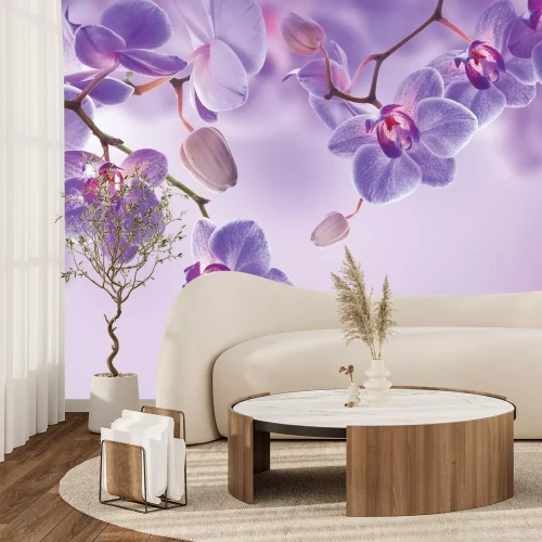 Fotobehang Paarse orchideeën stromen van bovenaf naar beneden