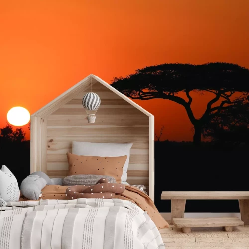 Fotobehang Natuur bij zonsondergang in Afrika