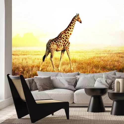 Fotobehang Giraf op de Afrikaanse savanne