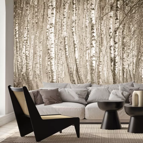 Fotobehang Berkenboslandschap in sepia