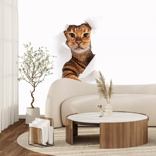 Sticker Bengaalse kat die uit een gat op een witte achtergrond tevoorschijn komt