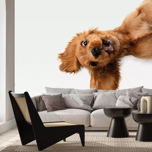 Sticker Schattige spanielpuppy op een witte achtergrond