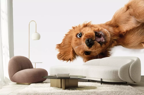 Visualisatie van het product