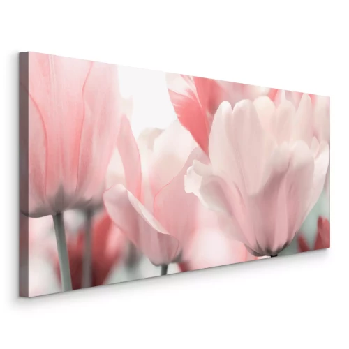 Canvas Pastelkleurige tulpen in bloei in roze tinten