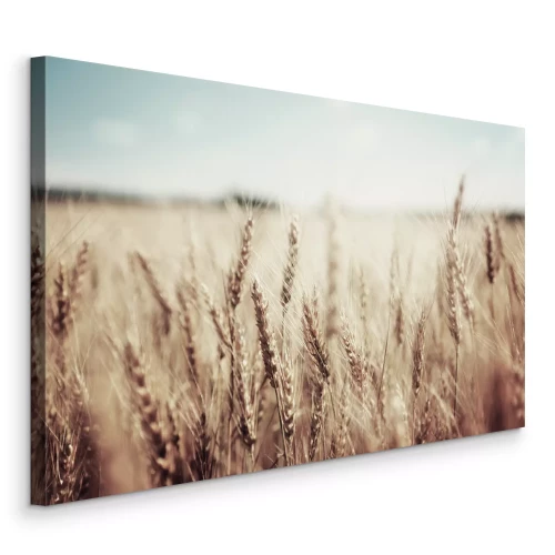 Canvas Korenaren in zacht licht