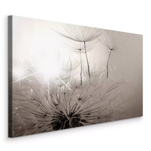 Canvas Macrofoto van een paardenbloem in zwart-wit