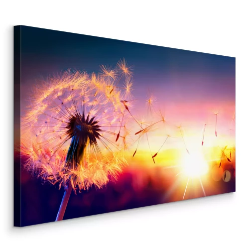 Canvas Vliegende paardenbloemzaden in de schemering